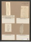 Navicula lyra var. subcarinata Grun. (de-Toni-Nr.: Genus 1, Species 327) Zeichnungen Sammlung Grunow Nr. 750 (NHMW-BOT-W0367147)